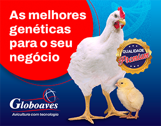Banner publicitário 