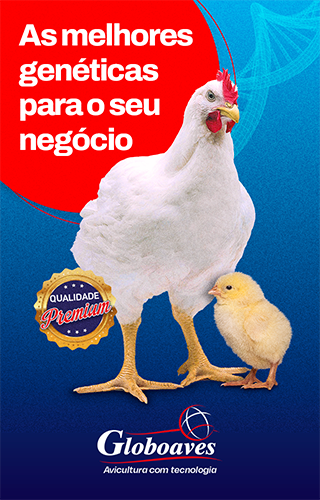Banner publicitário 