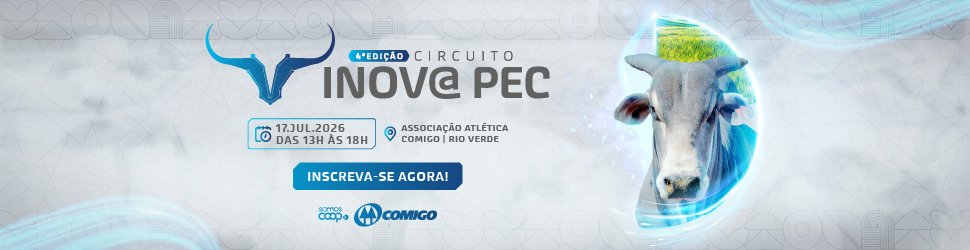 Banner publicitário 113