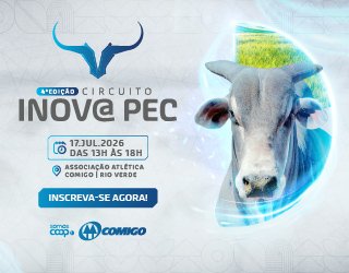 Banner publicitário 113