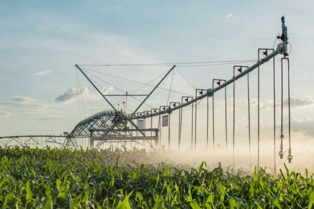 Energia elétrica e outorgas ambientais são os gargalos para expansão da irrigação