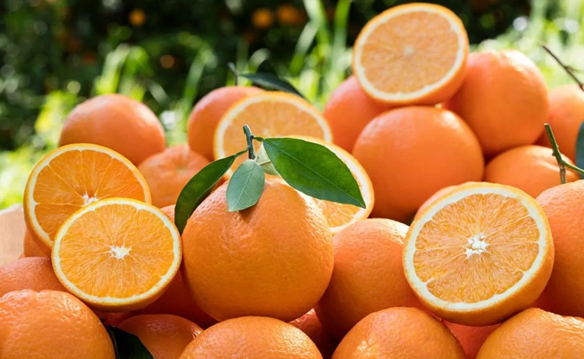 Preços da laranja prestes a se recuperar em junho