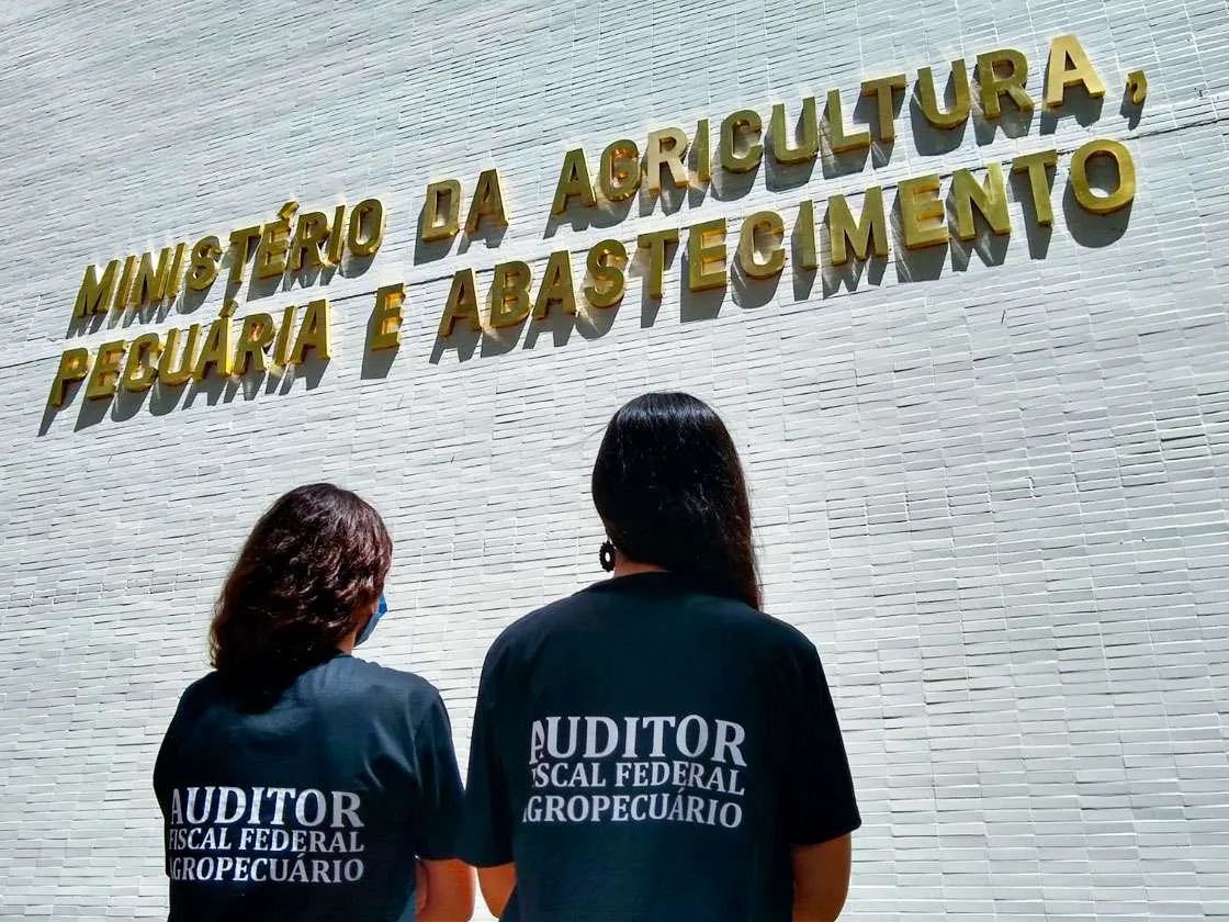 Auditores fiscais federais agropecuários em alerta no Brasil contra aftosa