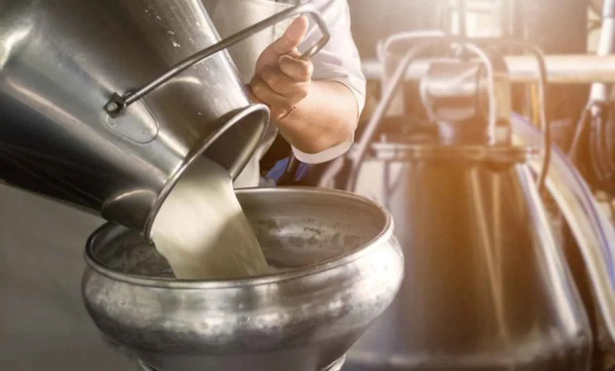 Queda no preço do leite preocupa produtores do Paraná