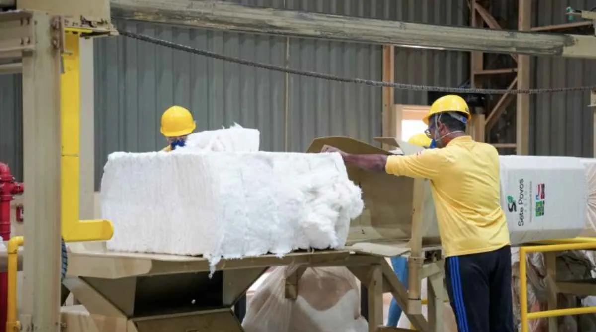 Abrapa recomenda padronização de fardos de algodão brasileiro