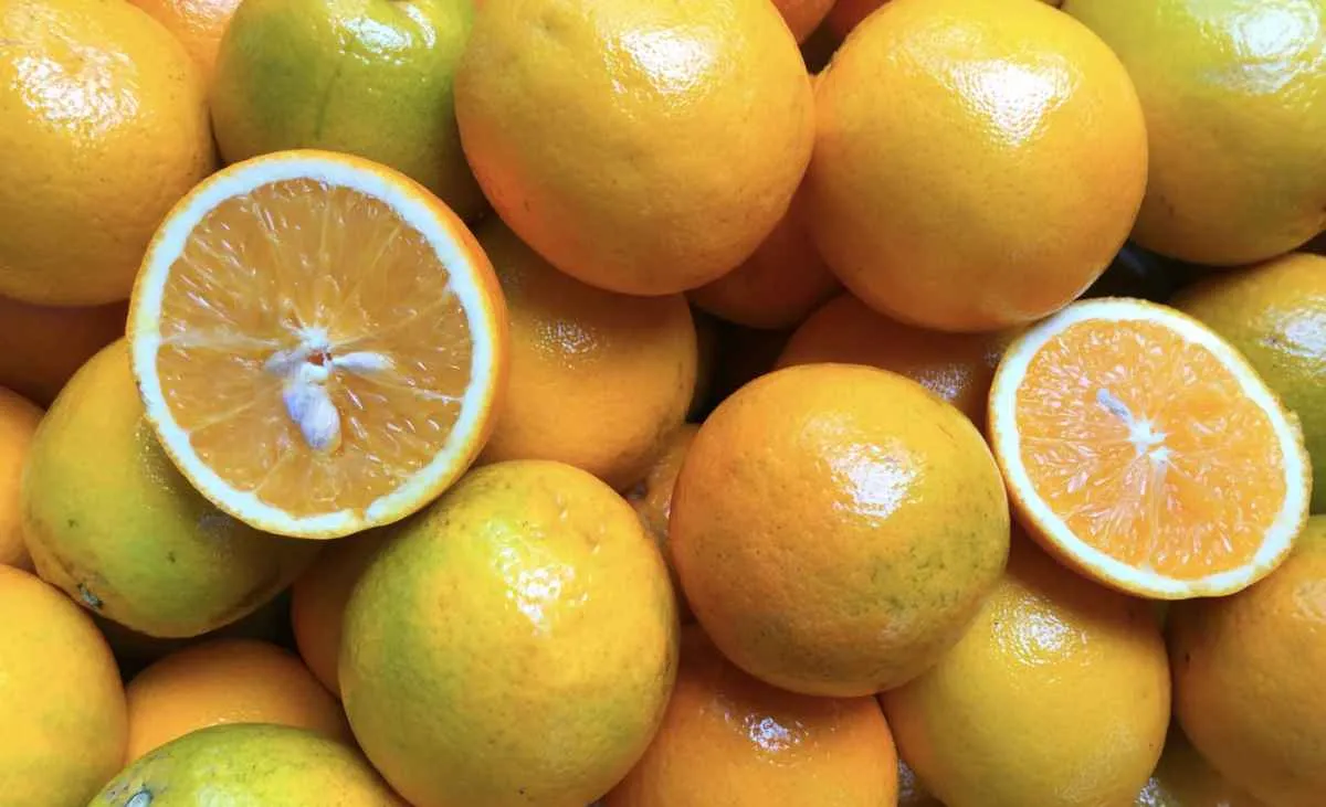 Fraca demanda pressiona preços da laranja no mercado de mesa
