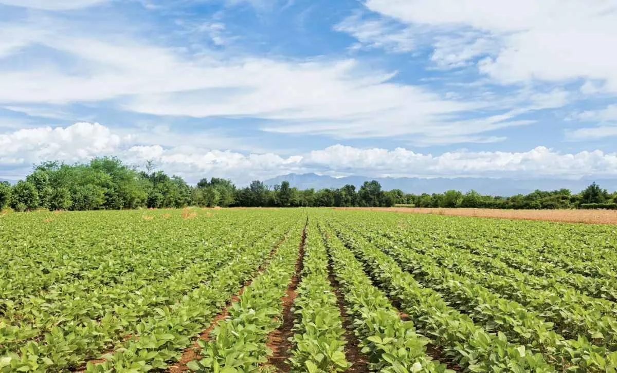Goiás amplia prazo para regularização ambiental de atividades rurais