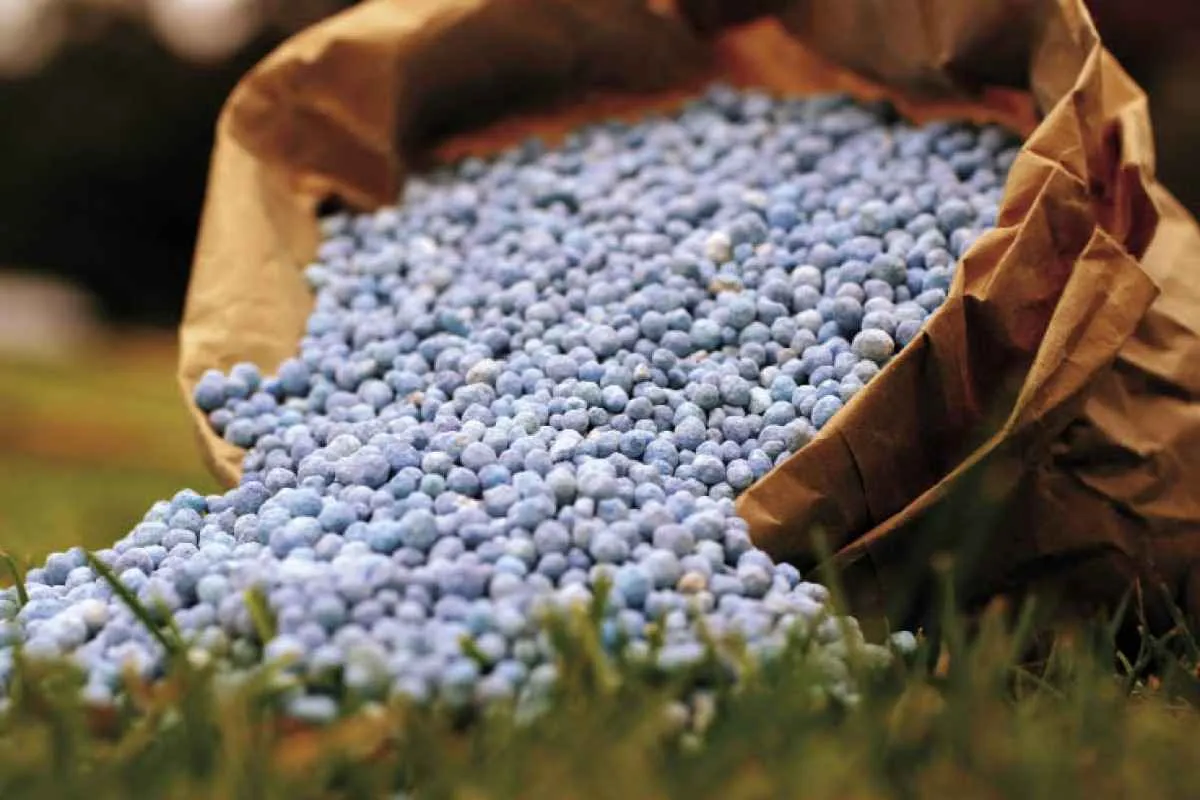 Entregas de fertilizantes crescem 9% em 2025 e indicam demanda aquecida no mercado brasileiro