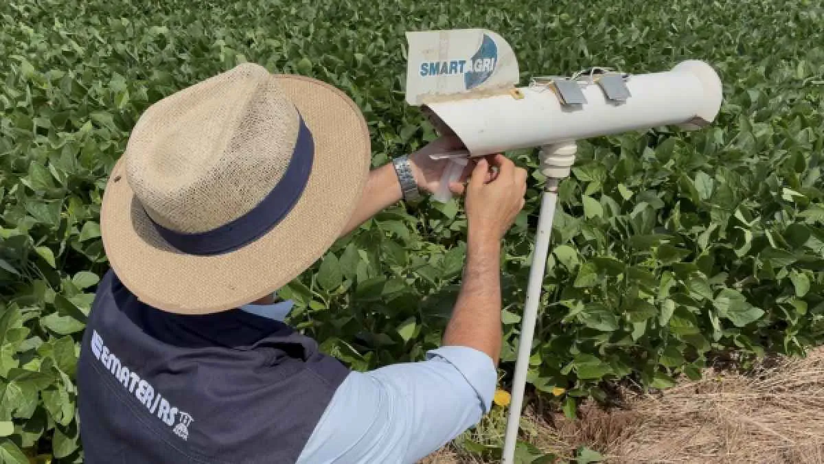 Monitora Ferrugem RS reforça prevenção da ferrugem asiática na soja