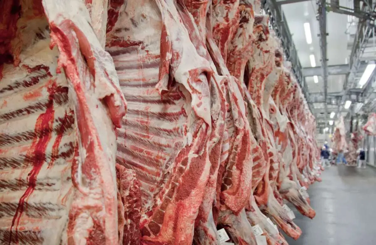 Carne bovina entra em 2026 com demanda firme e oferta desafiadora