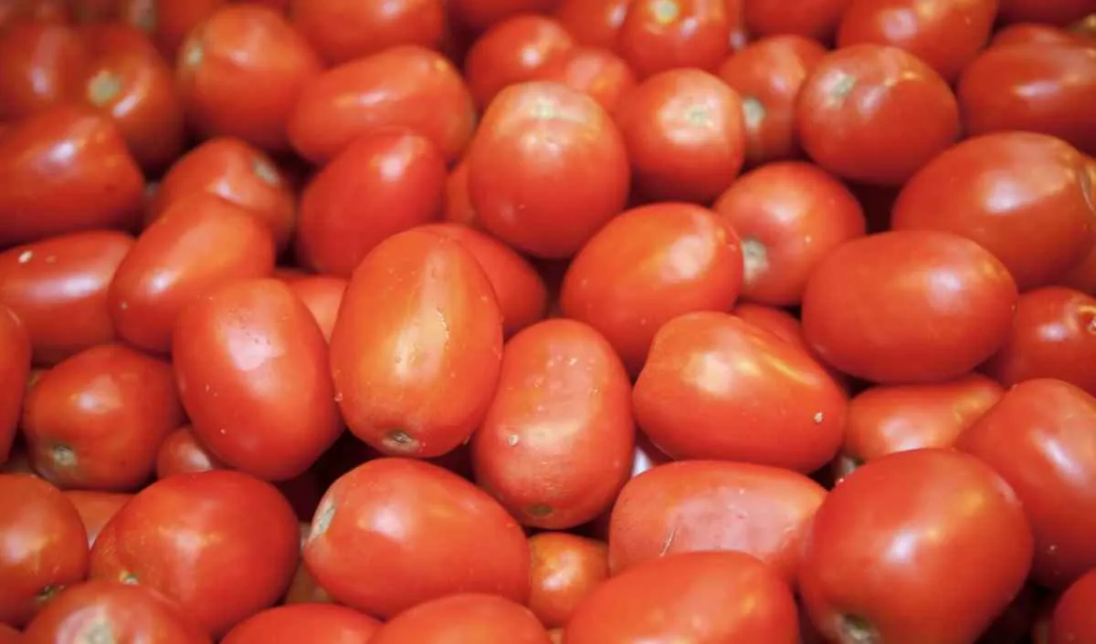 Menor oferta impulsiona preços do tomate no atacado