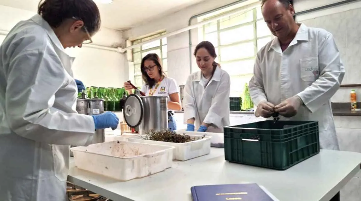 Safra de vinhos 2026 começa a ser avaliada no laboratório de referência do RS