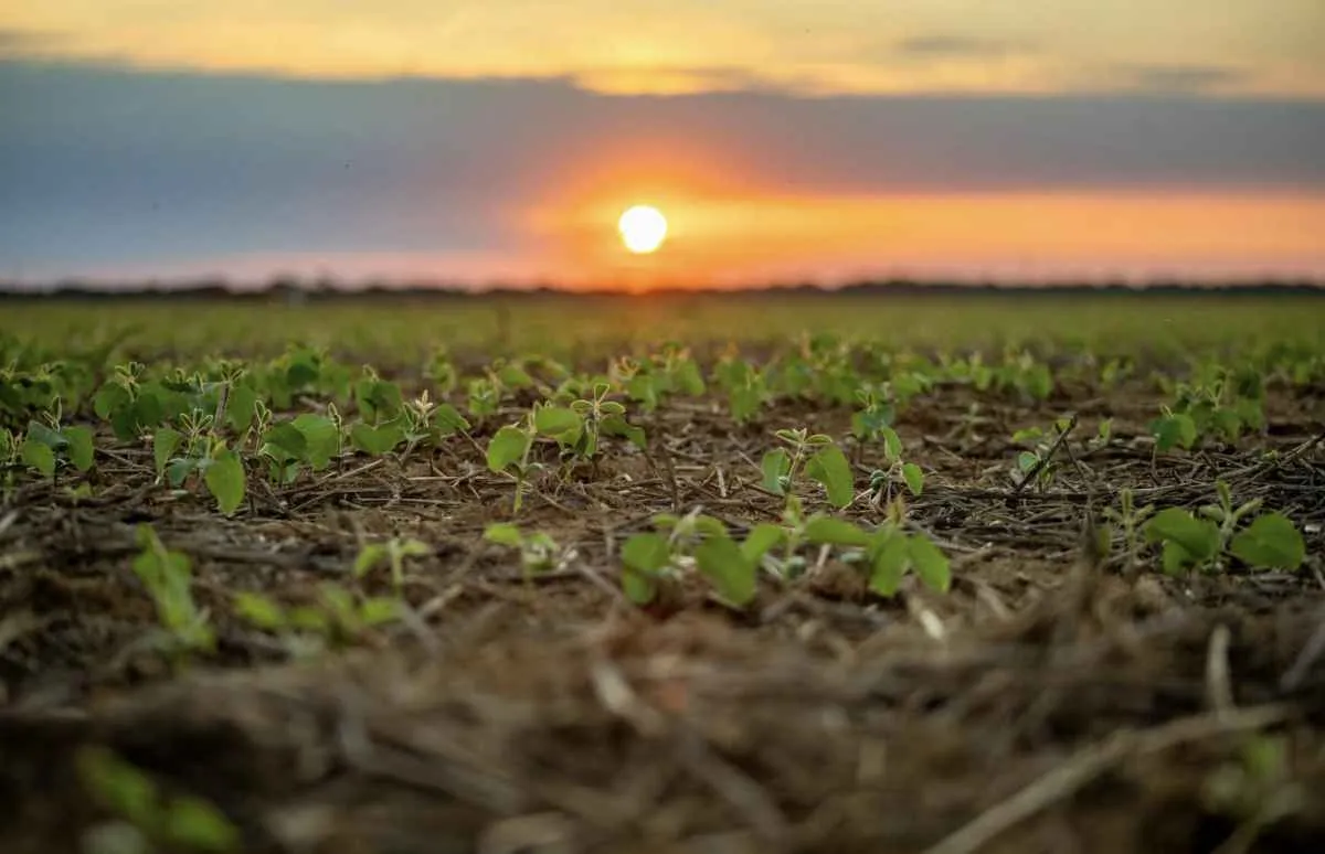 Aprosoja MT destaca uso do solo como base sustentável