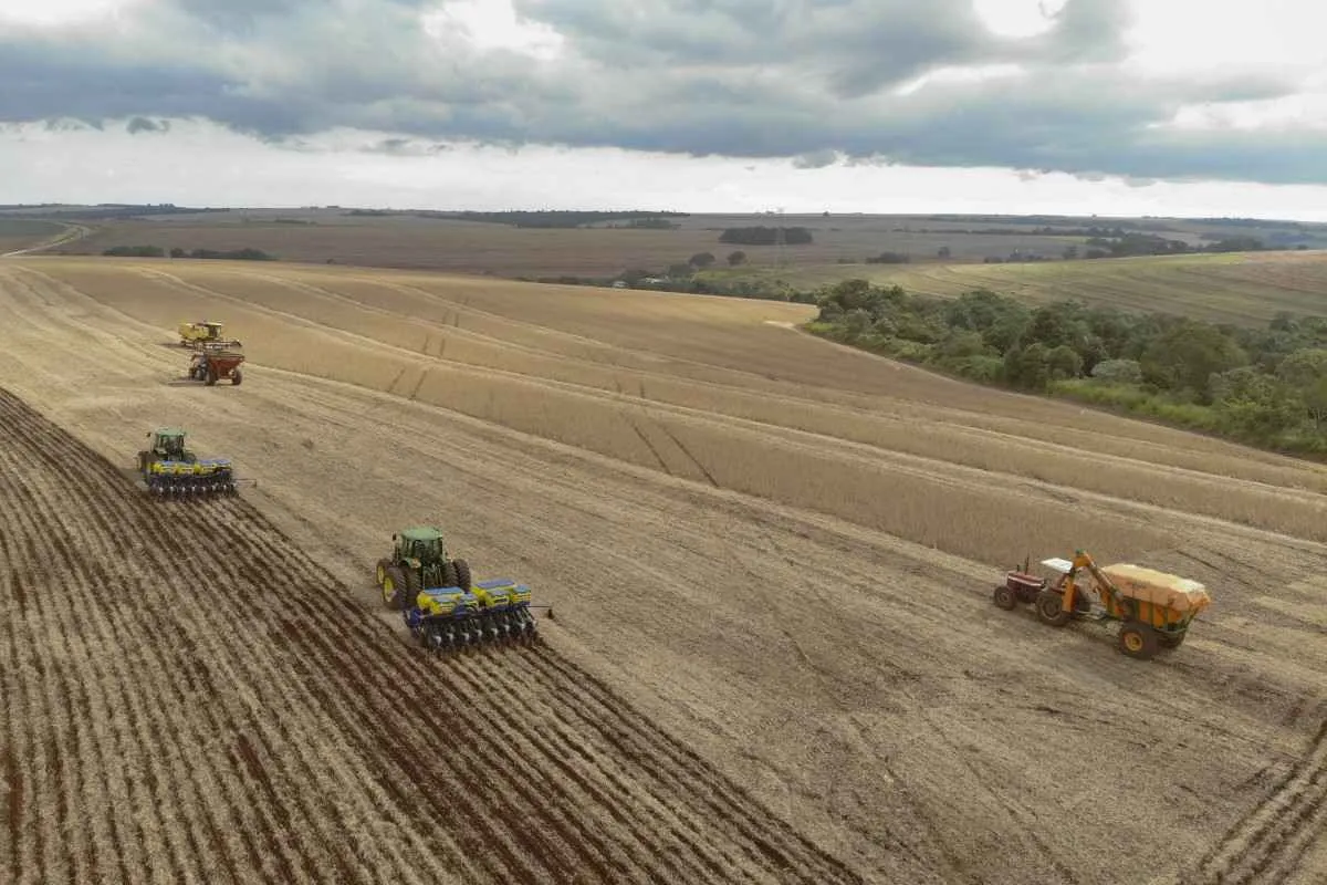 Paraná pode colher 22 mi de toneladas de soja