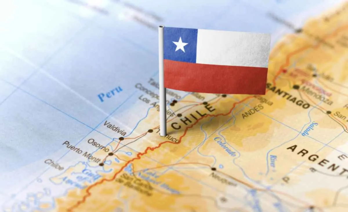 Exportação de DDG ao Chile amplia oportunidades no agro