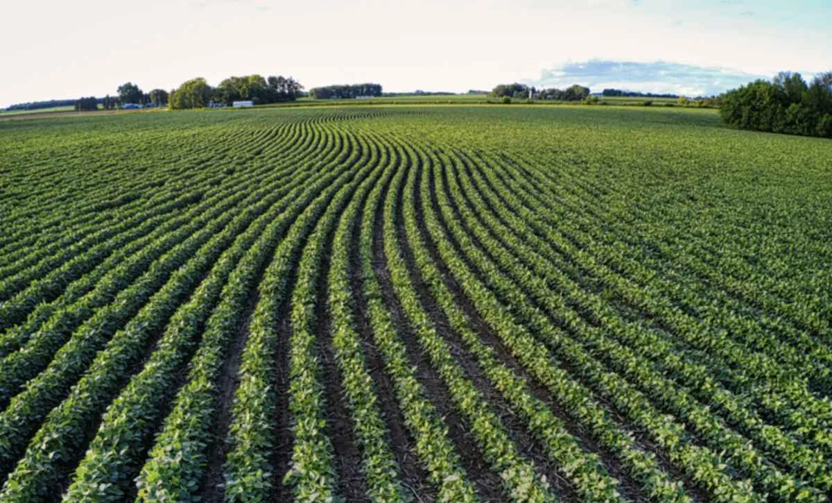 Finanças privadas do agro avançam com alta das CPRs