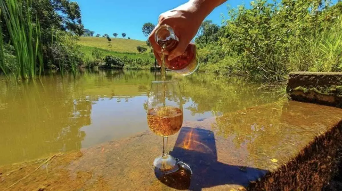 Cachaça mineira movimenta R$ 624 mi e lidera no Brasil