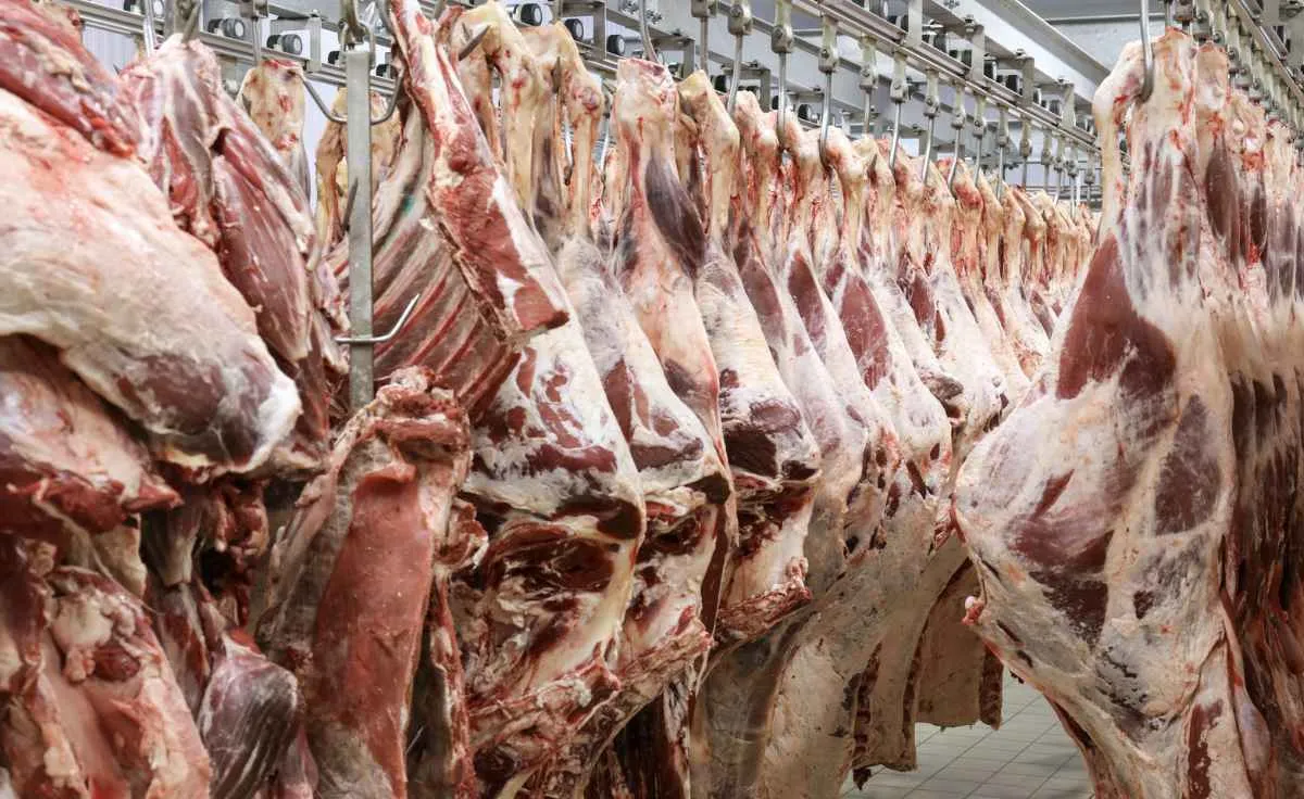 Dependência chinesa preocupa mercado brasileiro de carnes