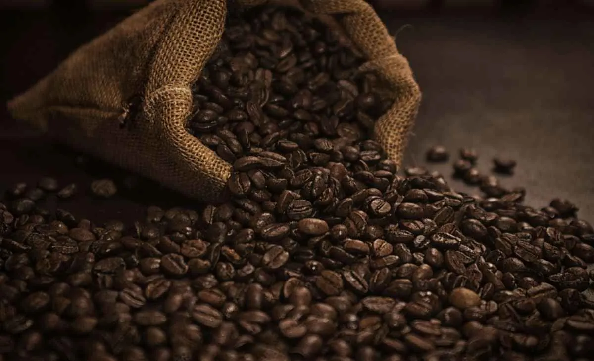 Brasil embarca 3,1 milhões de sacas de café em abril