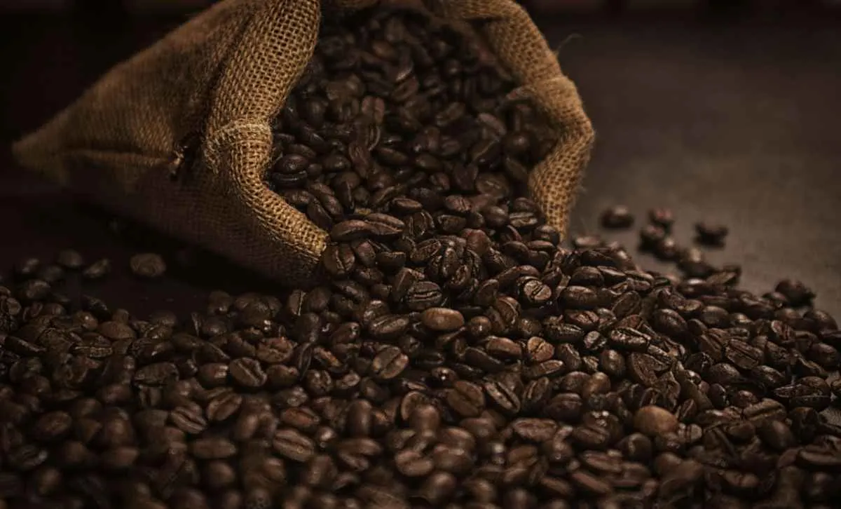 Café recua com expectativa de safra maior