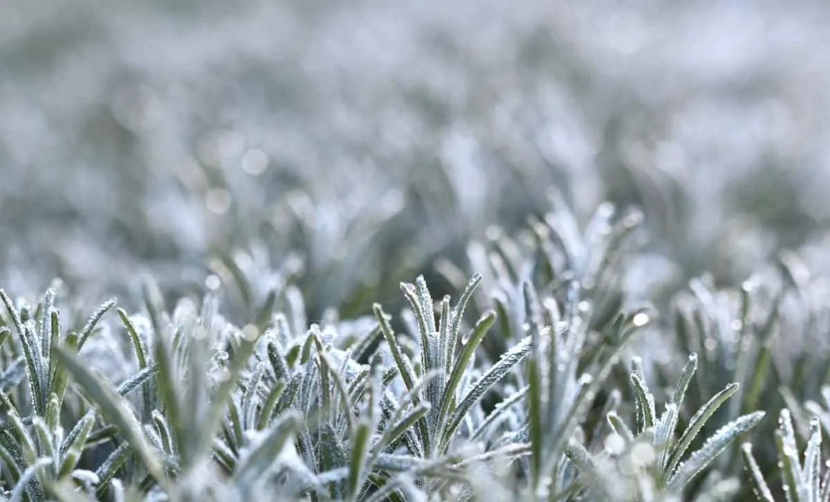 Quarta-feira terá frio no Sul e chuva forte no Norte