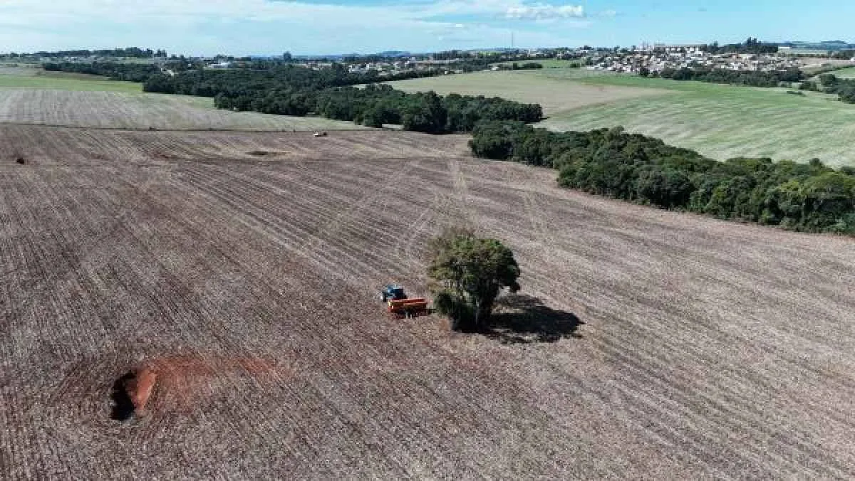 Produtores gaúchos iniciam plantio das culturas de inverno