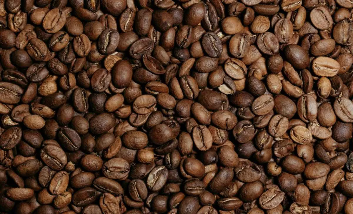 Colheita lenta e frio sustentam preços do café