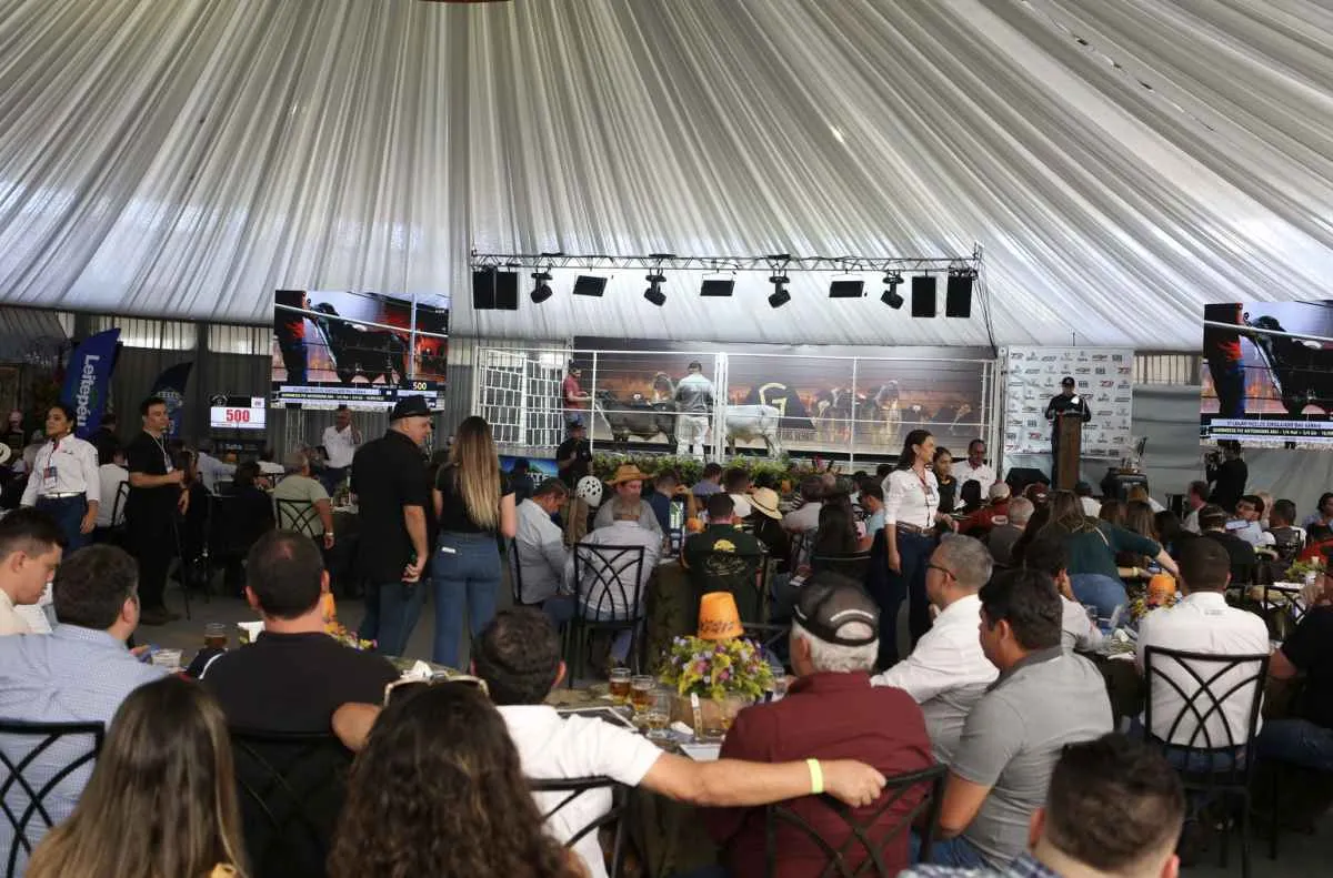 Megaleite 2026 amplia leilões e aposta na genética bovina