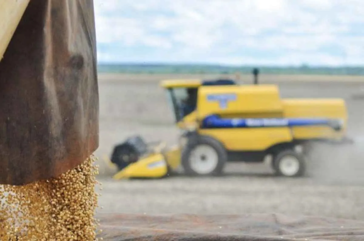 MS reforça protagonismo no agro com exportações em alta