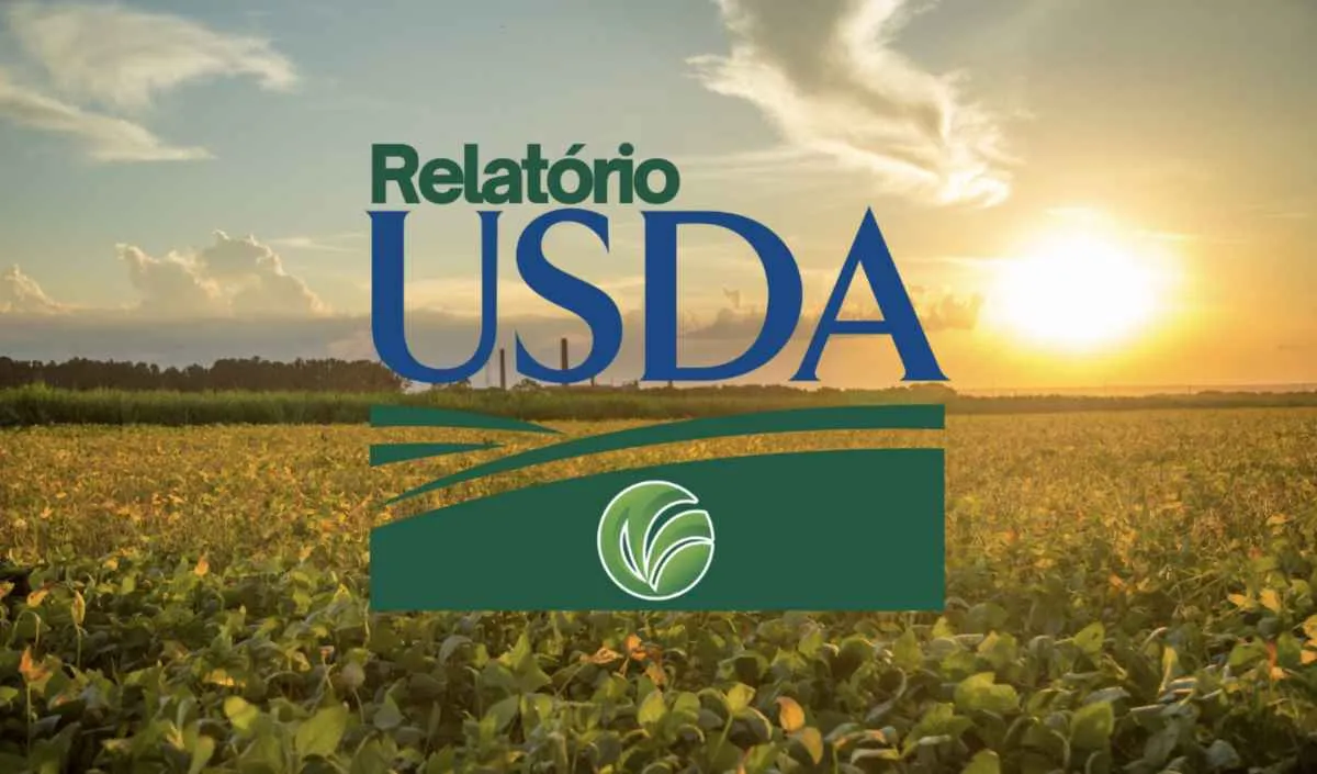 Relatório do USDA traz novas perspectivas para safra 2026/27