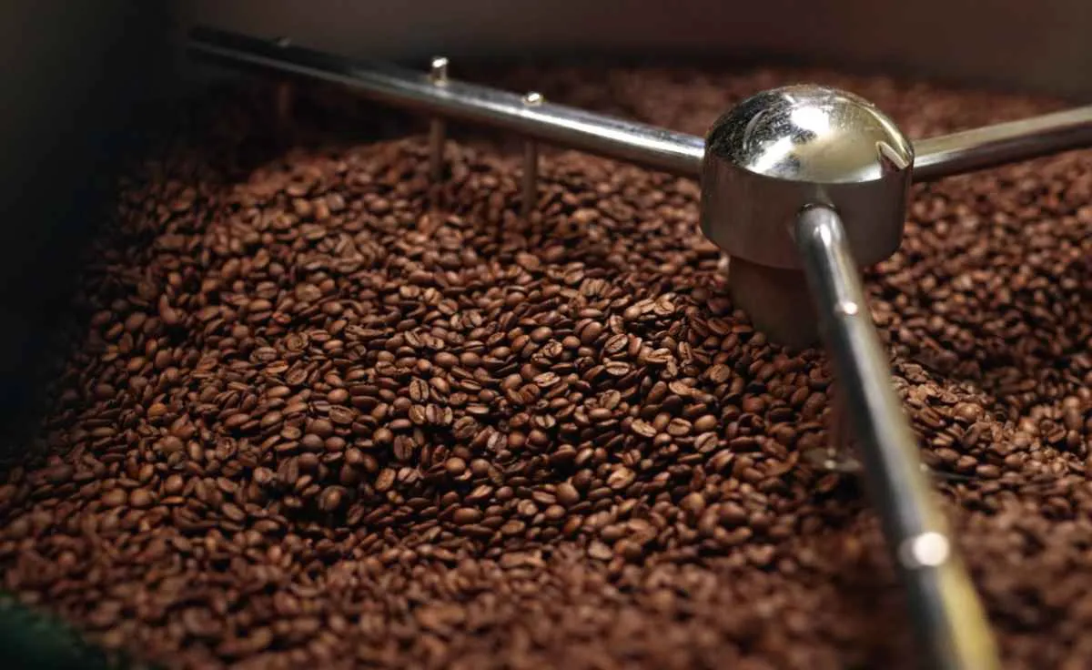 Torra de café reúne mestres e começa nesta semana em MG