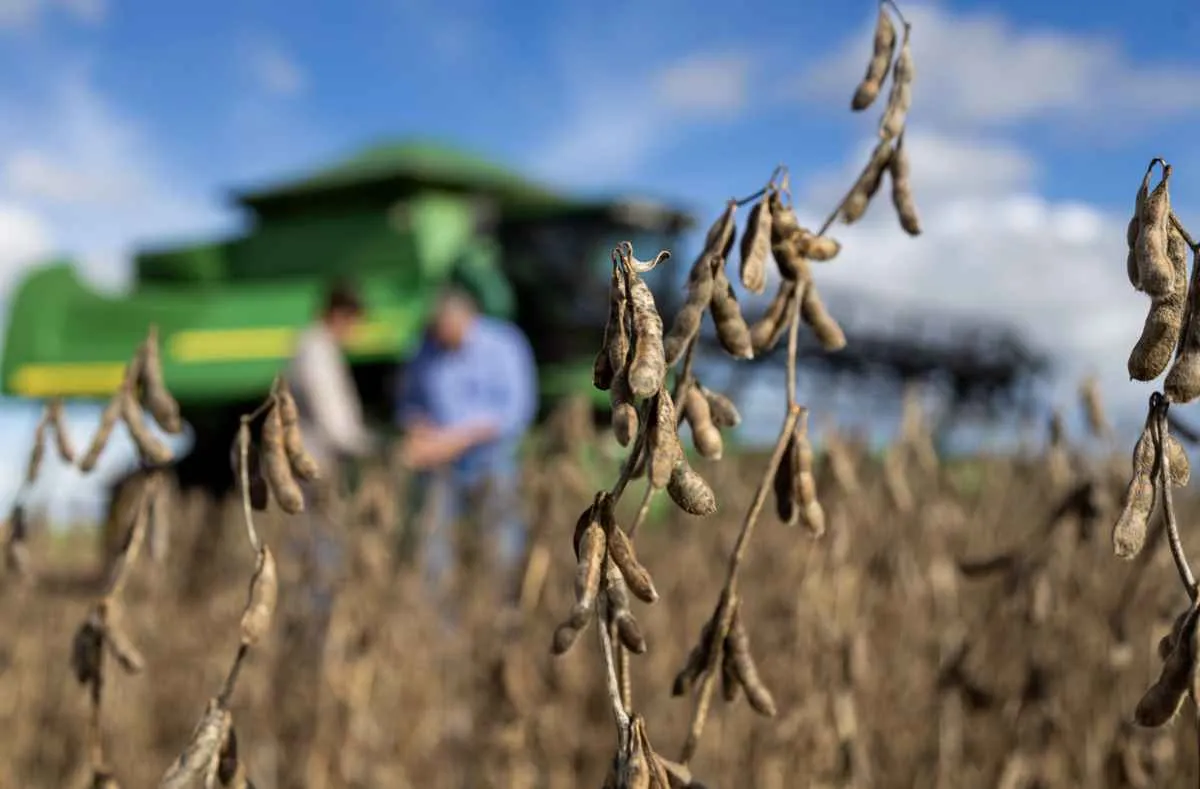 Produtores transformaram Mato Grosso em potência do agro