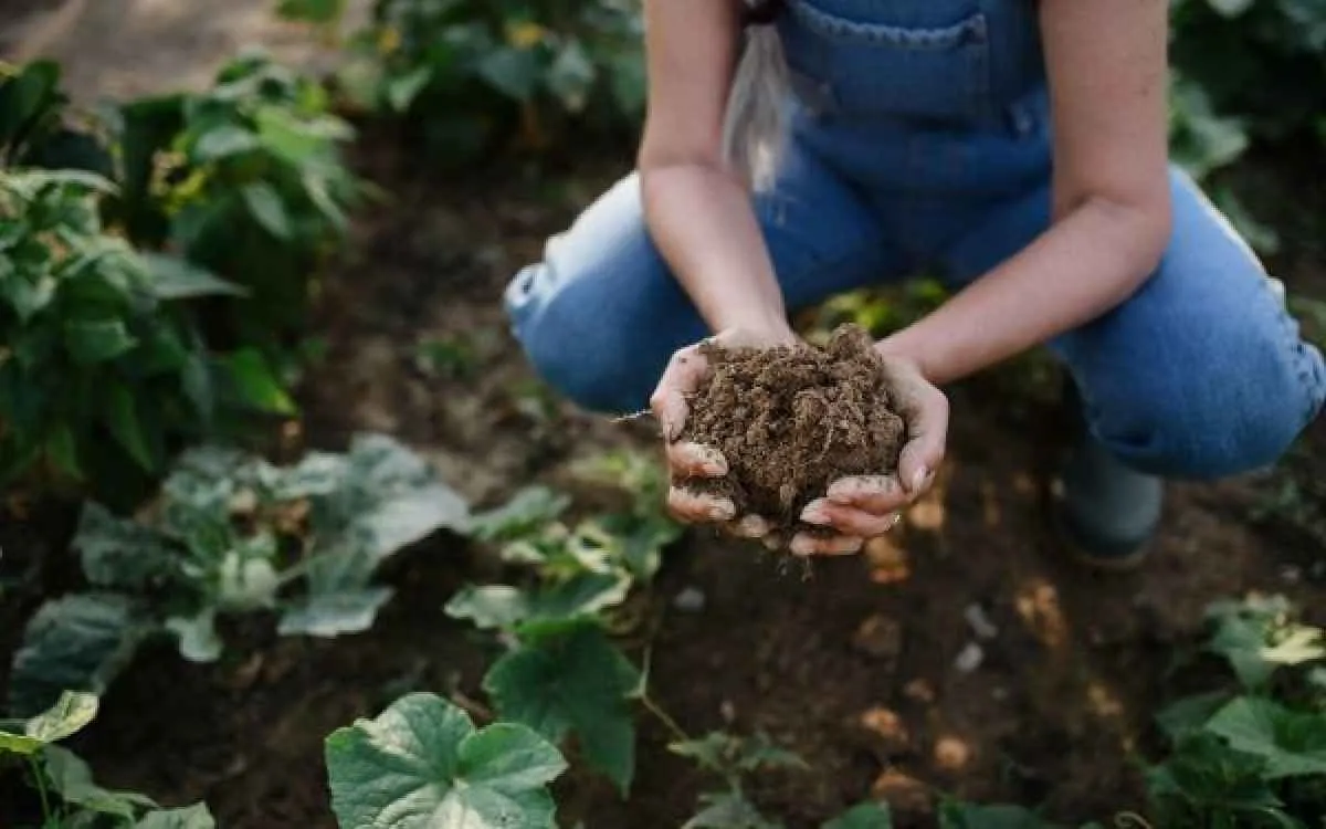 Fórum global de agricultura regenerativa será realizado no Brasil
