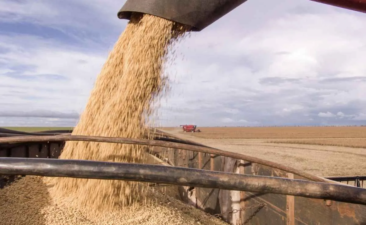 Produção de grãos no Oeste da Bahia deve crescer 8%