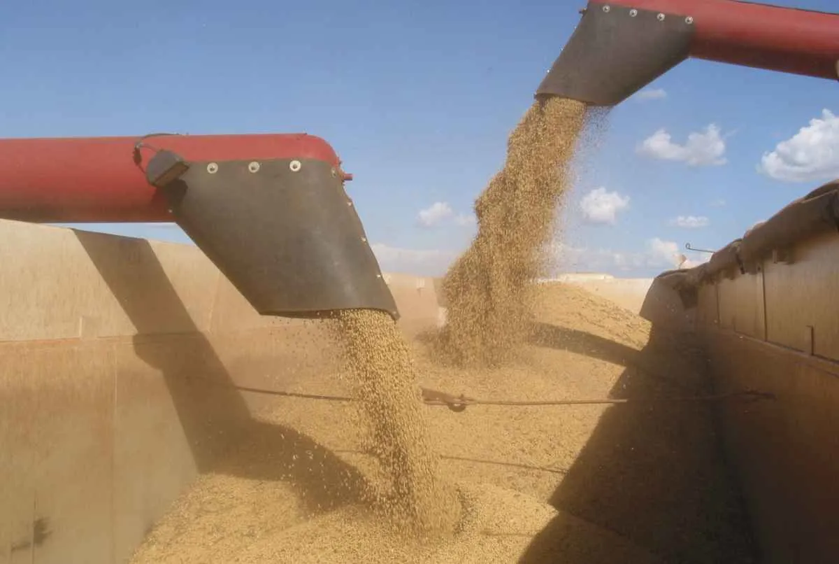 Safra 26/27 começa mais cara para produtor em MT