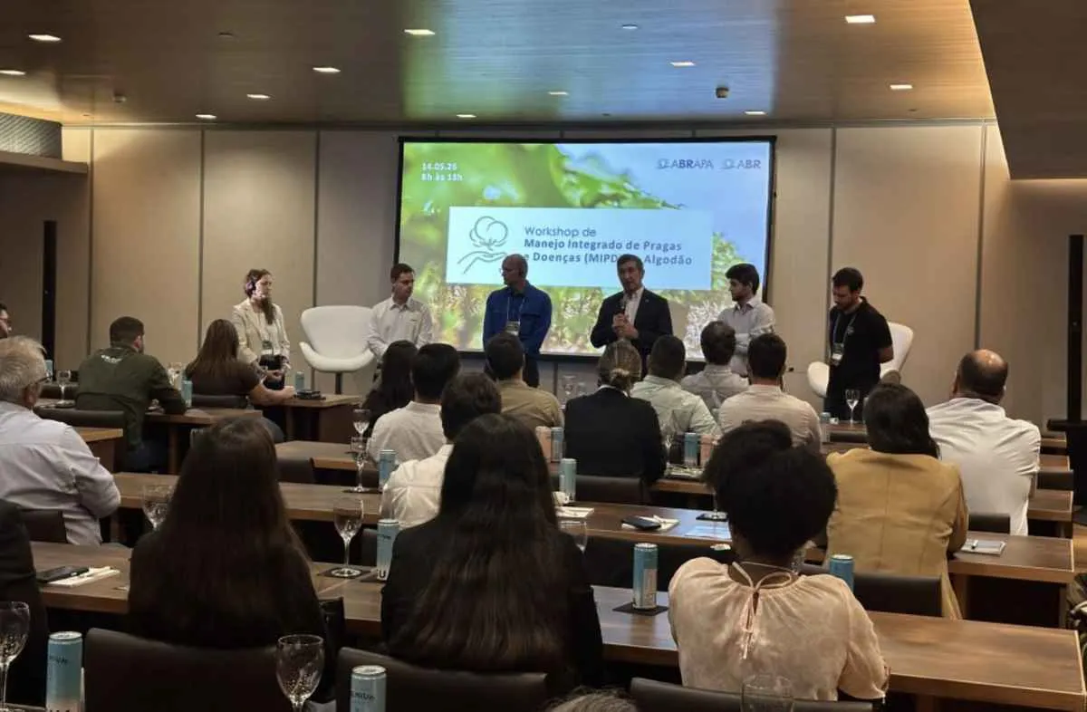 Workshop discute pragas, doenças e biológicos no algodão