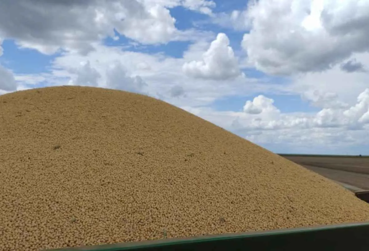 Colheita de soja entra na reta final em Mato Grosso do Sul