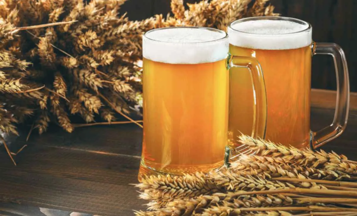 Setor cervejeiro alcança recorde de exportações em 2025