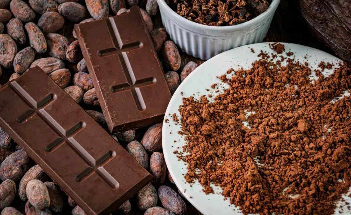 Nova lei do chocolate deve valorizar cacau brasileiro