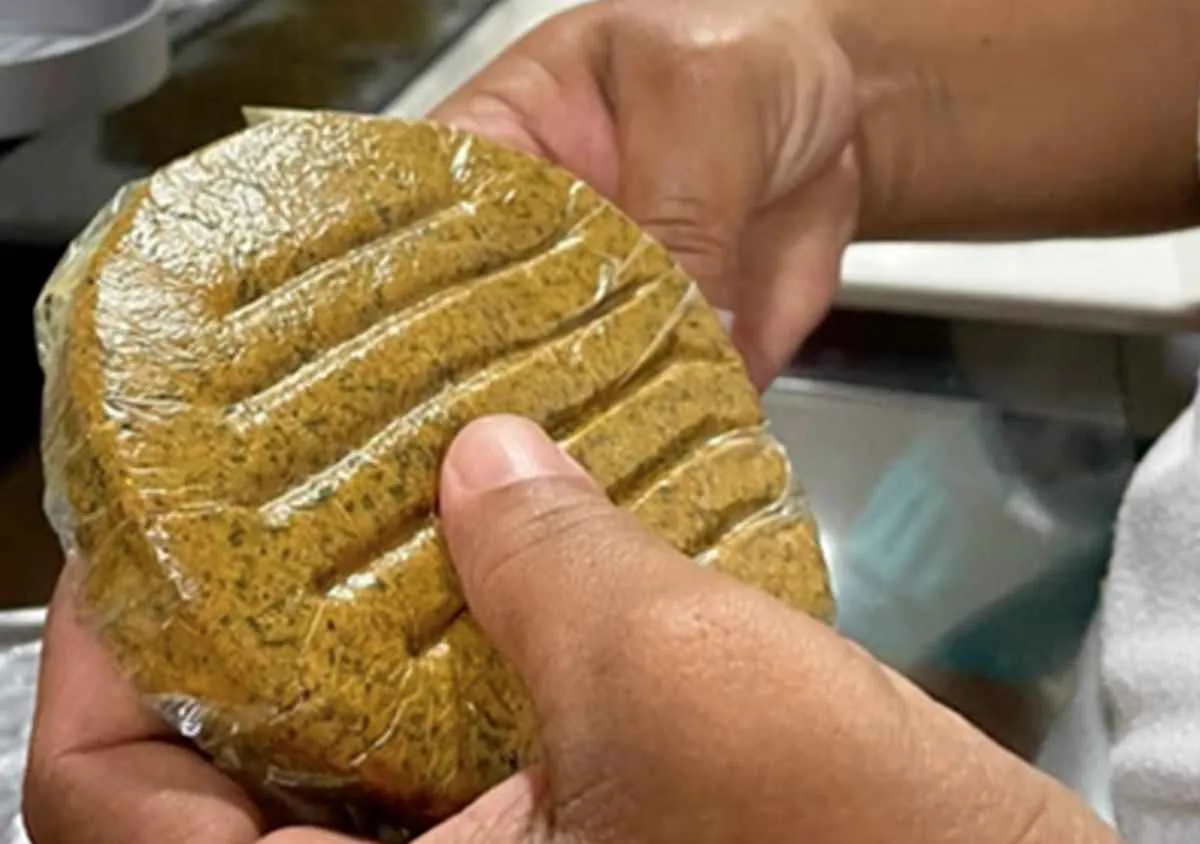 Babaçu vira base para hambúrguer vegetal 