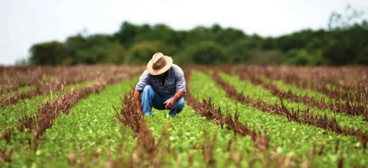 Juros altos e perdas climáticas agravam crise no campo