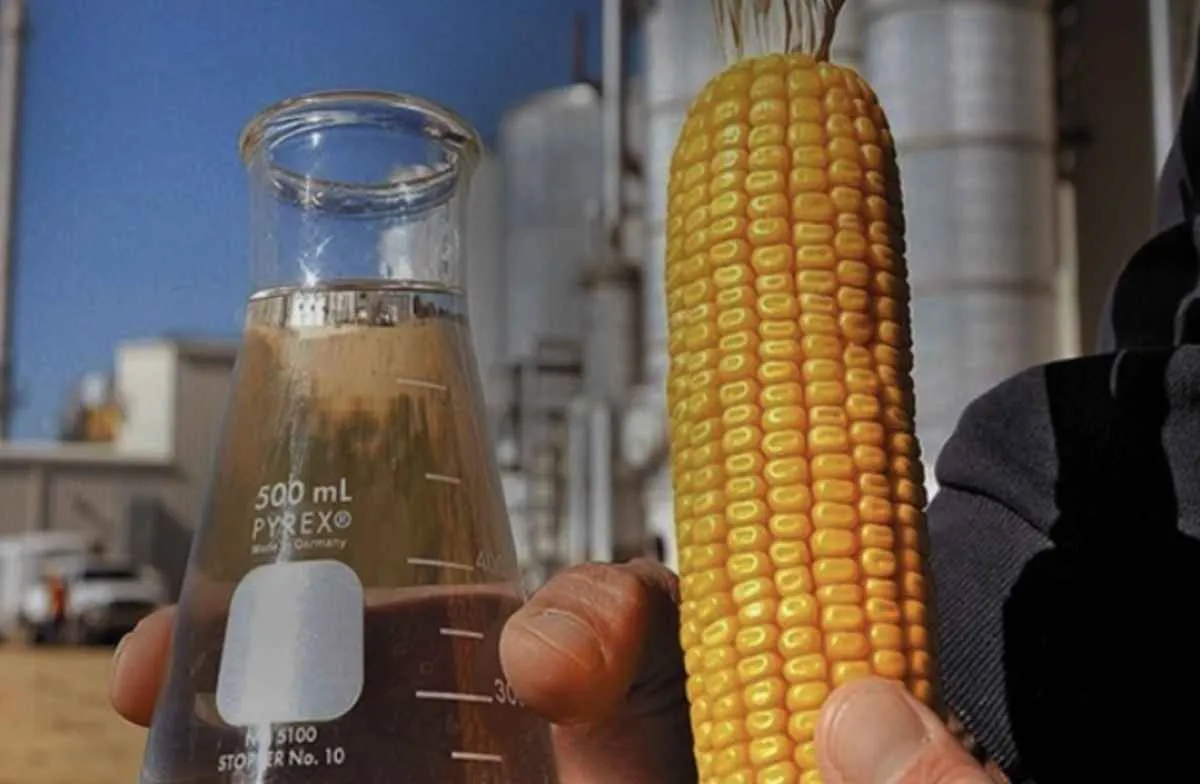 Produção de etanol de milho avança e fortalece bioenergia