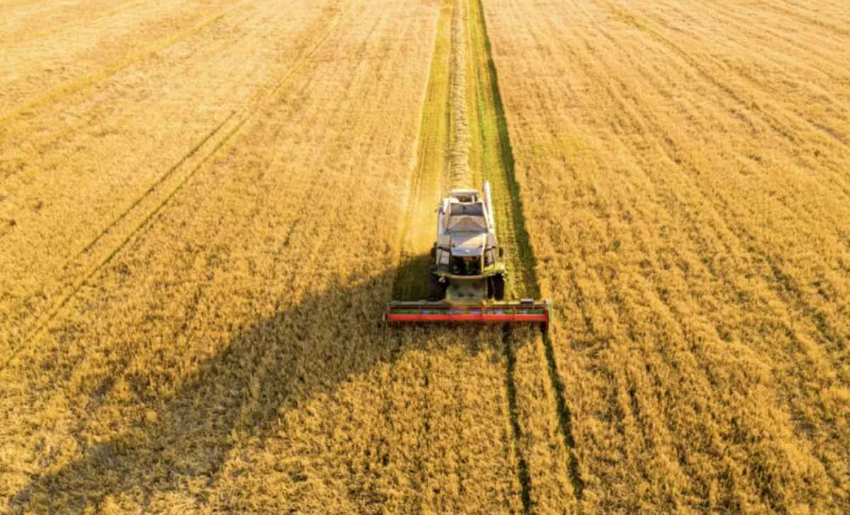 CMN amplia acesso do agro a financiamentos tecnológicos