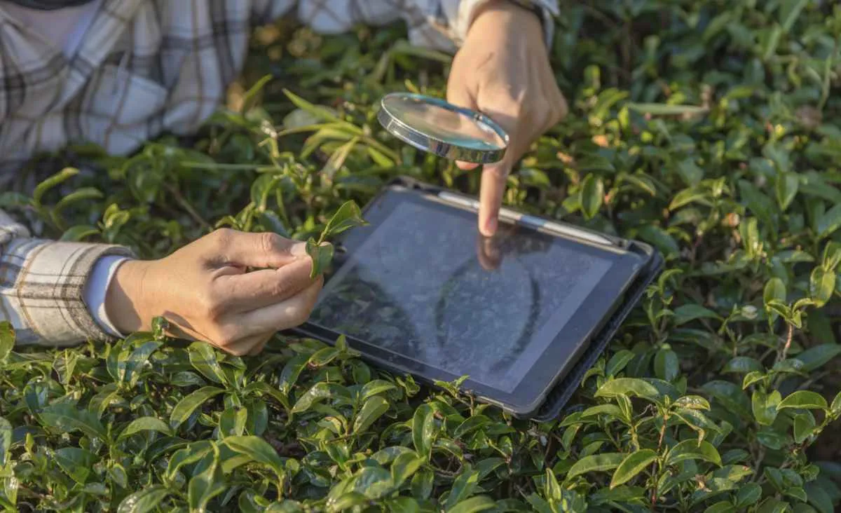 Digitalização é o principal desafio do agro