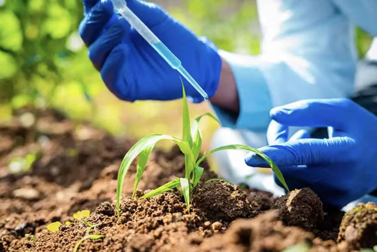 Mercado de bioinsumos movimenta R$ 6 bilhões e bate recorde de área