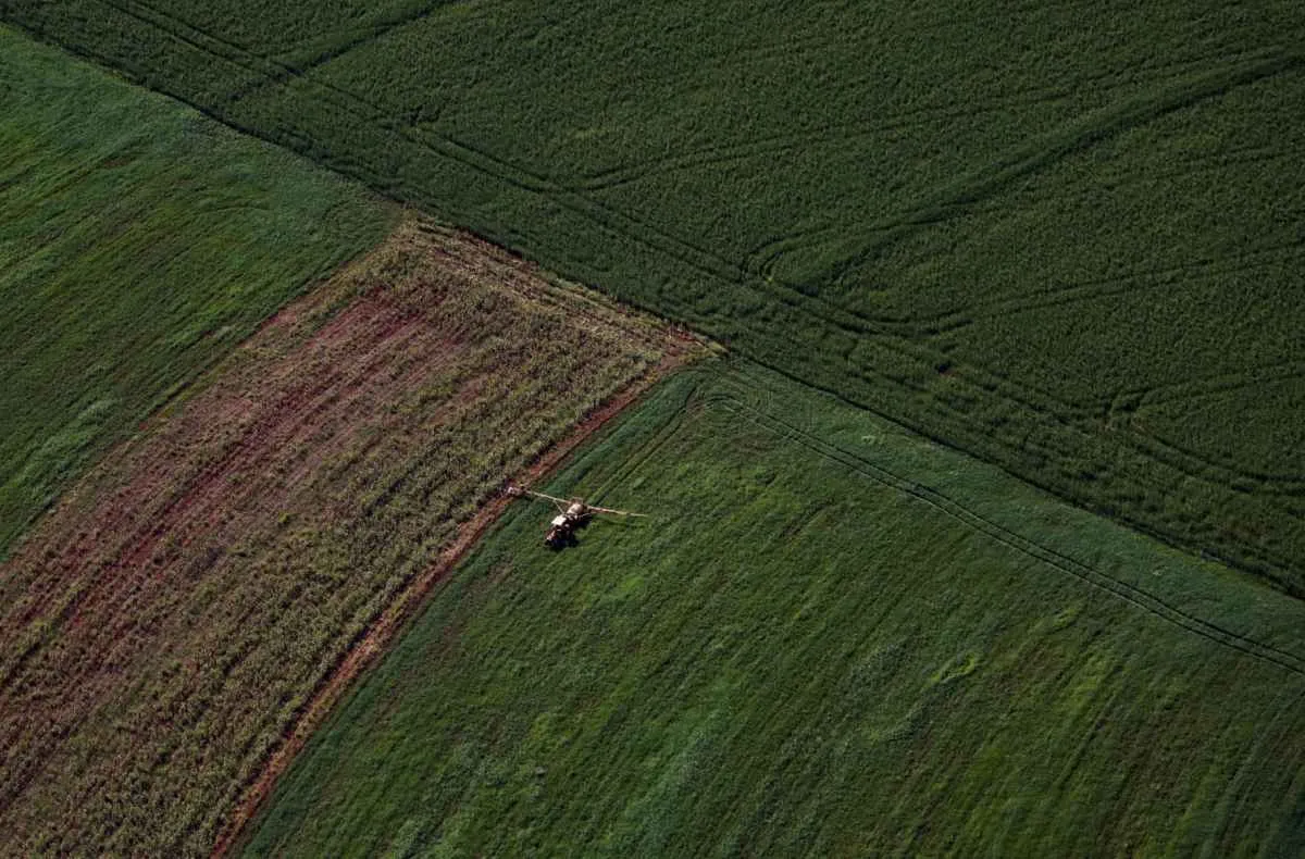 Pecuária e grãos impulsionam VBP recorde no Paraná