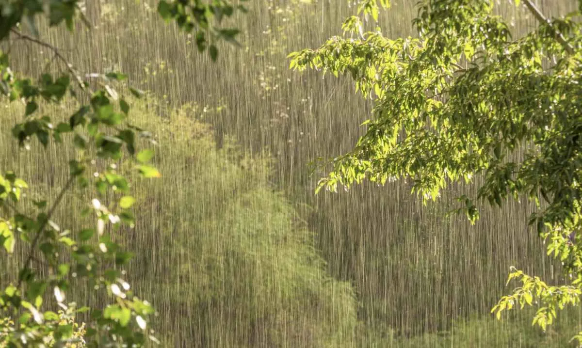 Frente fria traz temporais e chuva forte no fim de semana