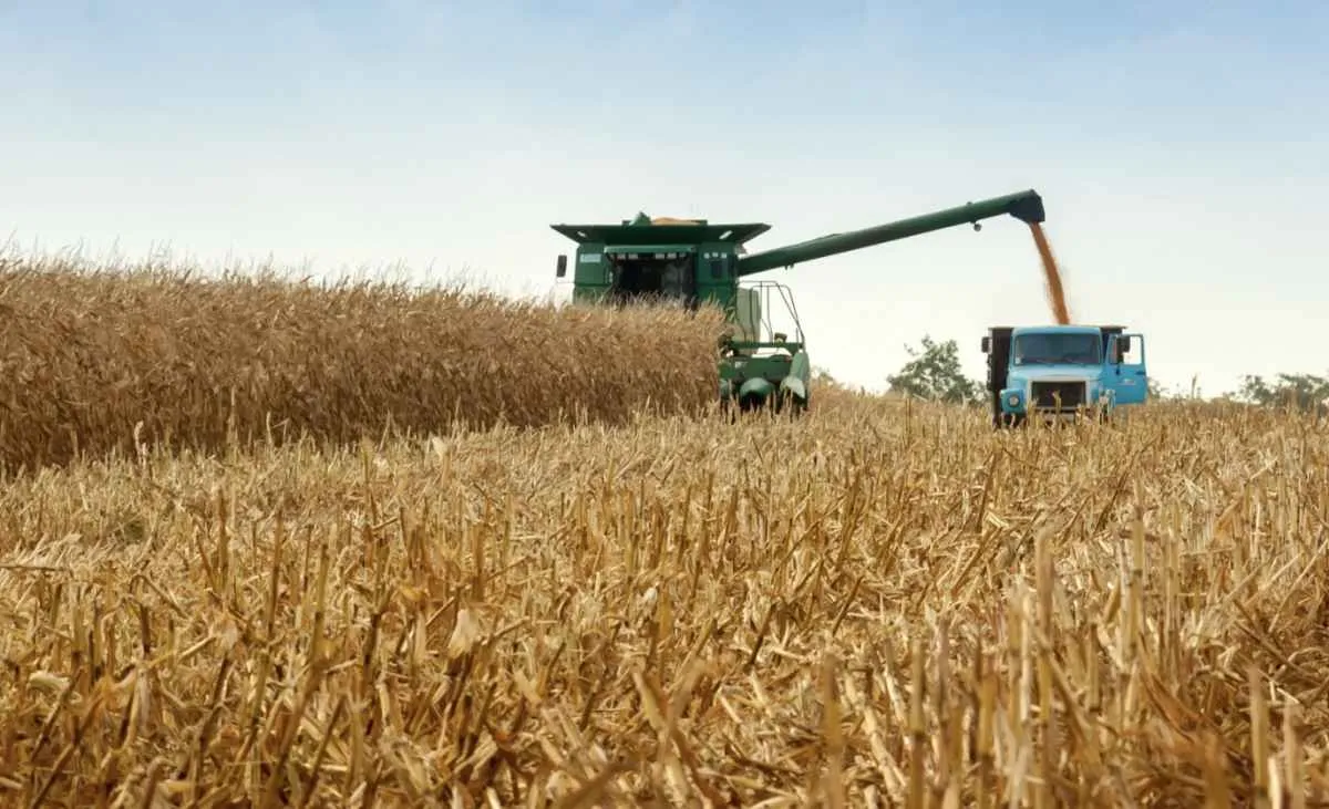 Frete pesa até 40% no valor das commodities agrícolas