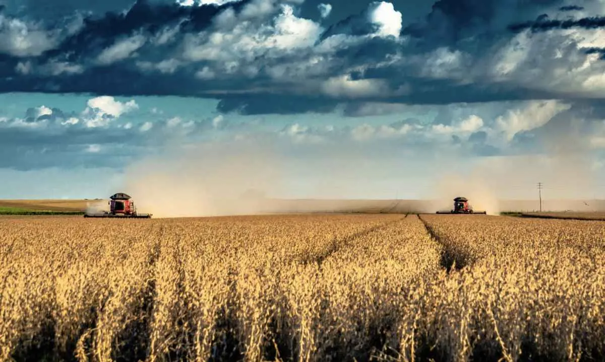 Seguro rural avança no mundo e expõe desafio do Brasil