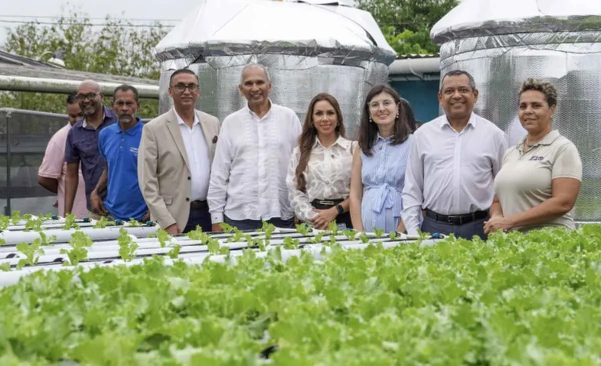 Missão do Mapa fortalece laços agropecuários no Caribe
